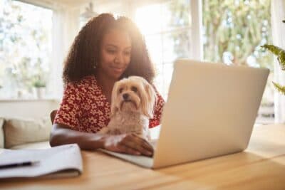 Smiling young African American woman sitting with her adorable little dog on her lap and working online with a laptop at home