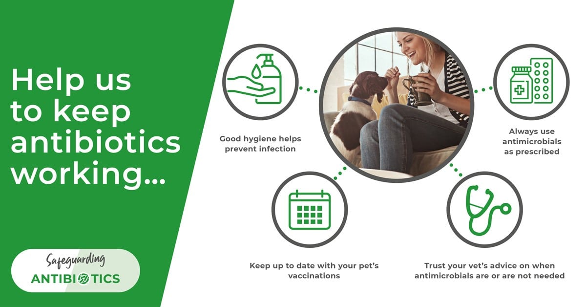 What is antibiotic resistance? Veterinary Specialists Scotland