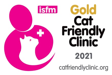vet specialist scotland cat clinic gold level 2021 (1)